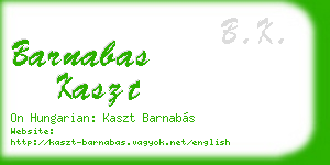 barnabas kaszt business card